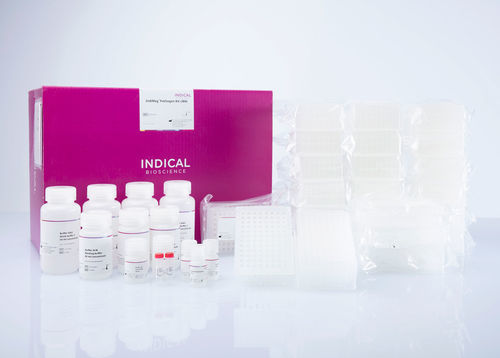 獣医用検査キット - IndiMag Pathogen Kit - INDICAL BIOSCIENCE GmbH - 感染病用 / DNA抽出用 / DNA精製用