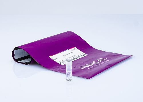 動物実験用試薬 - intype IC-DNA - INDICAL BIOSCIENCE GmbH - 核酸 / 研究用 / PCR