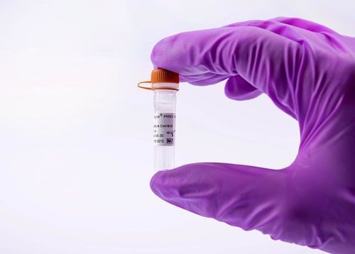 動物実験用試薬 - virotype PRRSV PRO Positive Control - INDICAL BIOSCIENCE GmbH - 標準物質 / 研究用 / リアルタイムqPCR