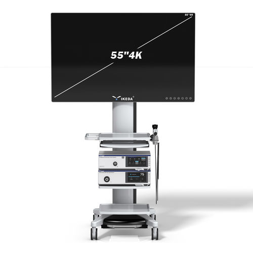 内視鏡用カメラ - YKD-9211 - AKX - 医療用 / 外科用 / デジタル