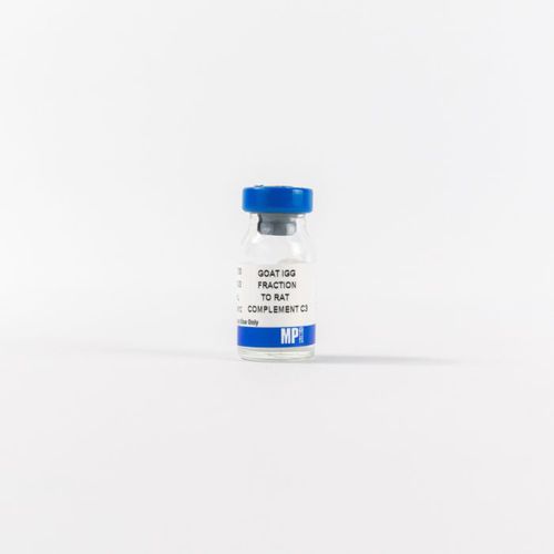 IgG試薬 - 0855730 - MP Biomedicals - 酵素 / 抗体 / クロマトグラフィー