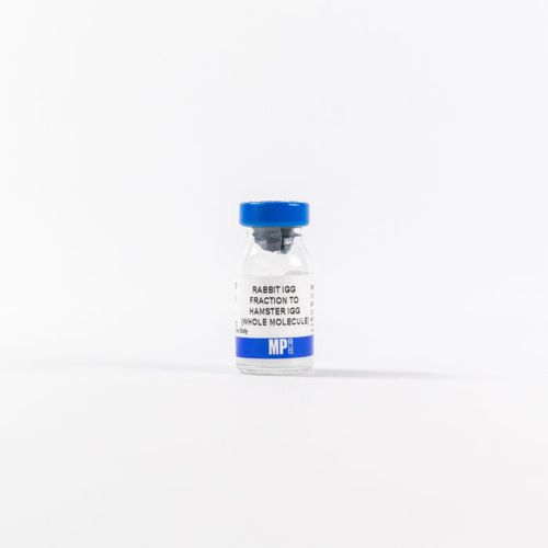 プロテイン試薬 - 0855398 - MP Biomedicals - 酵素 / 抗体 / 研究用