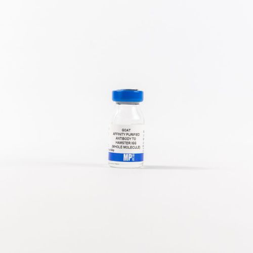 IgG試薬 - 0856984 - MP Biomedicals - 抗体 / 研究用 / 組織用