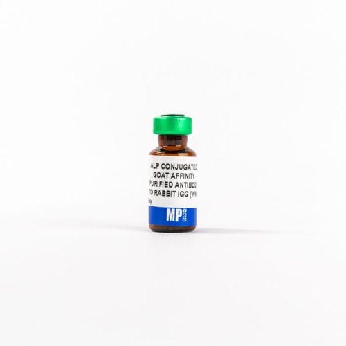 IgG試薬 - 0859298 - MP Biomedicals - 抗体 / 研究用 / 組織用