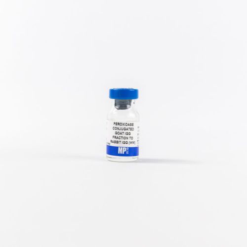 IgG試薬 - 0855676 - MP Biomedicals - 血清 / ヤギの血清 / 抗血清