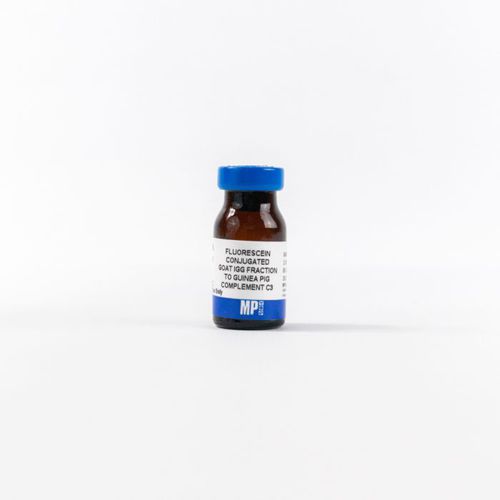プロテイン試薬 - 0855385 - MP Biomedicals - 試薬媒体 / 研究用 / 組織用