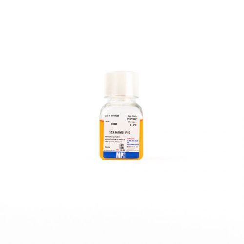 PH試薬 - 091440049 - MP Biomedicals - HEPES / 血清 / 研究用