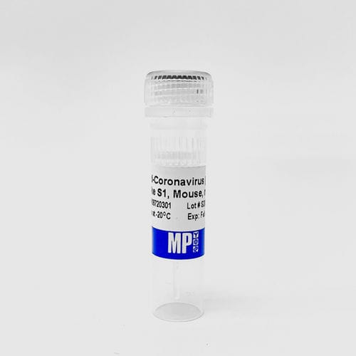 プロテイン試薬 - 0872030-CF - MP Biomedicals - 抗体 / モノクローナル抗体 / 研究用