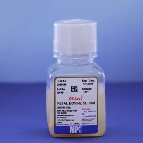 ウシ胎児血清試薬 - 0929168-CF - MP Biomedicals - 細胞培養用 / 研究用 / 液体