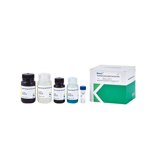 ウェスタンブロット法用試薬 - BioSci™  - Dakewe (Shenzhen) Medical Equipment Co., Ltd. - 溶液 / 研究用 / 液体