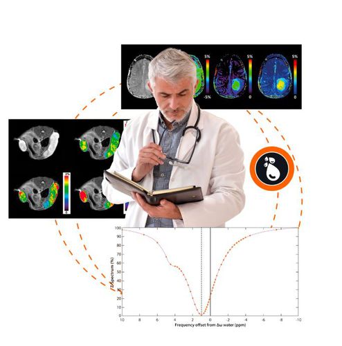分析ソフト - APT CEST MRI V.1.0 - Olea Medical - 後処理 / 製図用 / 医療用
