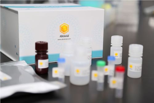 ELISA検査キット - RK04149 - ABclonal Technology - 研究用 / 中和抗体用 / 銅製