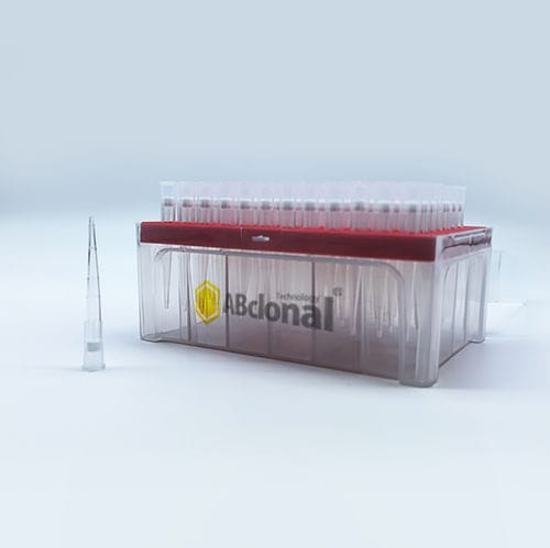 フィルターピペットチップ - AI200R3 - ABclonal Technology - 無菌