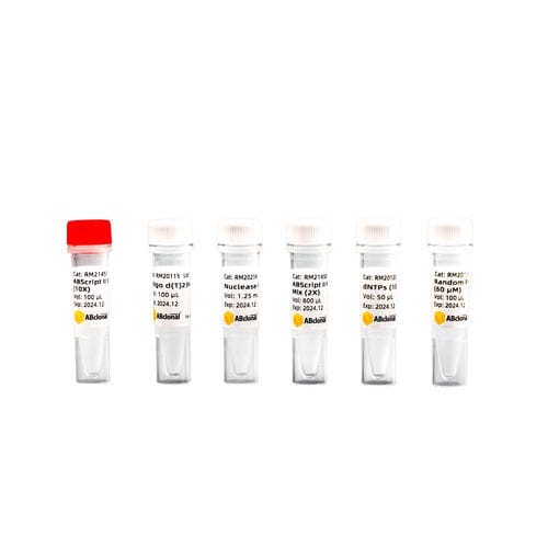 逆転写酵素試薬 - RK20400 - ABclonal Technology - RT-PCR / cDNA合成用