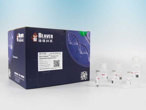 プラズマ試薬 - BeaverBeads™ Protein A/G - BEAVER - 組織用 / プロテイン精製用 / プロテイン