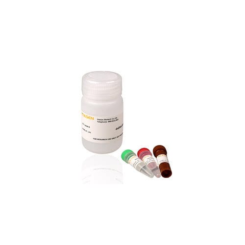 微生物学用検査キット - 12640ES series - Yeasen Biotechnology (Shanghai) Co., Ltd - DNA定量 / DNA用 / 蛍光線