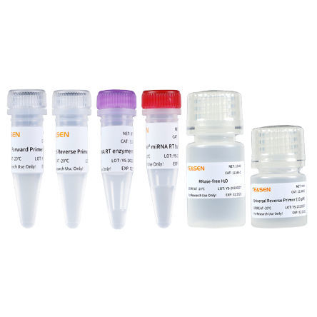 CDNA合成用試薬キット - 11148ES series - Yeasen Biotechnology (Shanghai) Co., Ltd - 酵素 / 逆転写酵素 / 緩衝液