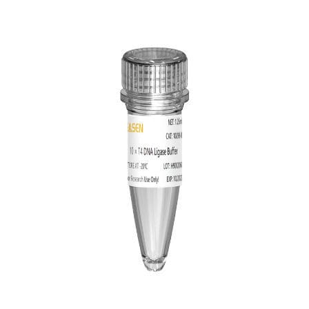 酵素試薬 - 10298ES series - Yeasen Biotechnology (Shanghai) Co., Ltd - DNAリガーゼ / 研究用 / NGS