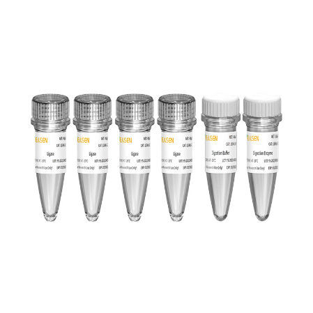 酵素試薬キット - Hieff NGS™ - Yeasen Biotechnology (Shanghai) Co., Ltd - NGS / DNAライブラリーの準備