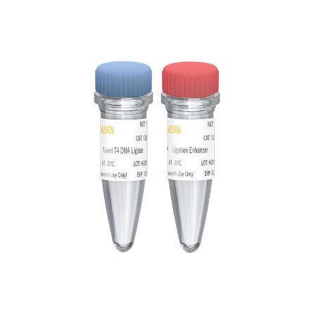DNAリガーゼ試薬キット - Hieff NGS™ - Yeasen Biotechnology (Shanghai) Co., Ltd - 研究用 / DNA シークエンシング用