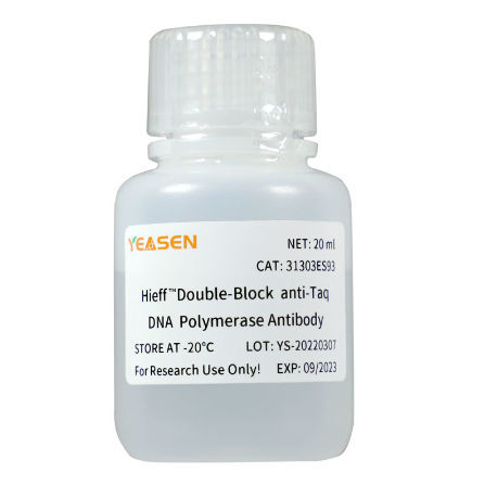 抗体試薬 - Hieff™ - Yeasen Biotechnology (Shanghai) Co., Ltd - モノクローナル抗体 / DNAポリメラーゼ / 生物分子学用
