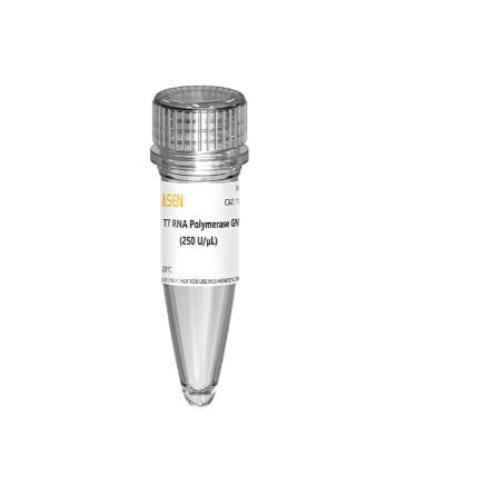 酵素試薬 - 10625ES series - Yeasen Biotechnology (Shanghai) Co., Ltd - RNA合成用 / 液体 / グアノシン一リン酸