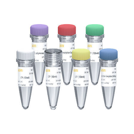 RNA合成用試薬キット - 10623ES series - Yeasen Biotechnology (Shanghai) Co., Ltd - dNTP溶液 / 緩衝液 / 液体
