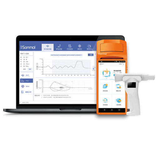 コンピューターべーススパイロメーター - Sonmol  - Shanghai Sonmol Medical Devices - 携帯型