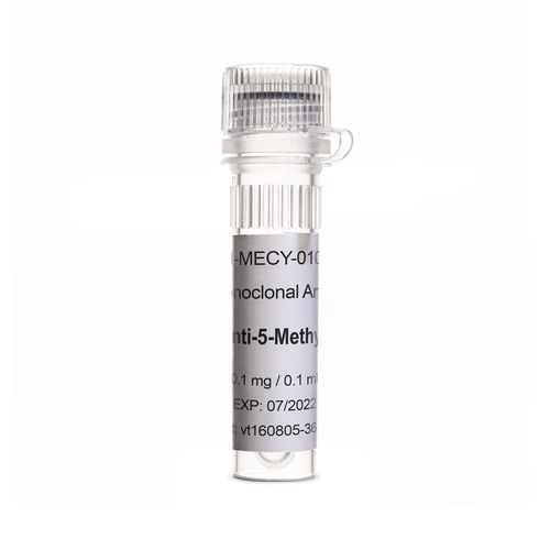 抗体試薬 - OptimAb - Eurogentec - 組織用 / 病理組織用 / 液体