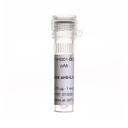 抗体試薬 - EG-VHH001-0025 - Eurogentec - 免疫組織化学用 / 液体 / 動物由来
