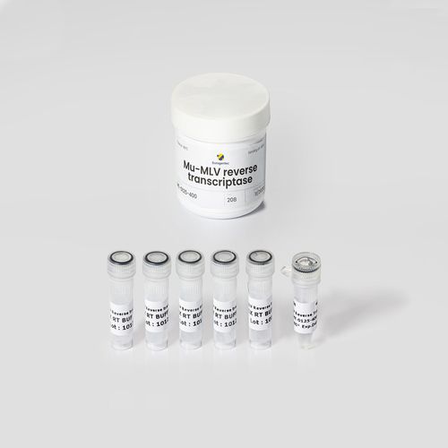 酵素試薬キット - Mu-MLV - Eurogentec - 逆転写酵素 / 研究用 / 液体