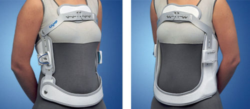 胸腰椎サポートコルセット - feola Tecnologie ortopediche e sanitarie srl