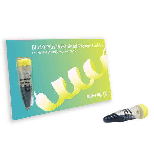 タンパク質ラダー試薬 - Blu10 Plus - Bio-Helix - ウェスタンブロット法用