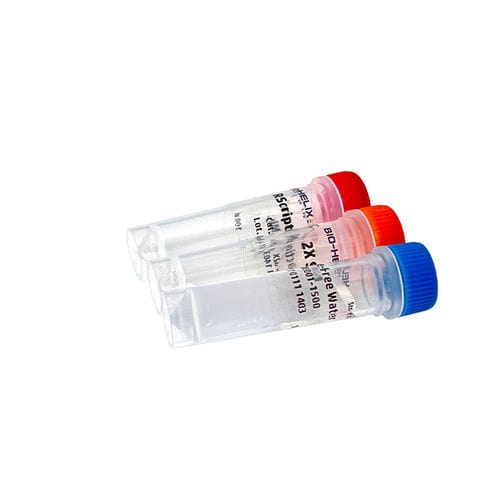逆転写酵素試薬キット - RScript™ - Bio-Helix - リボヌクレアーゼインヒビター / cDNA合成用