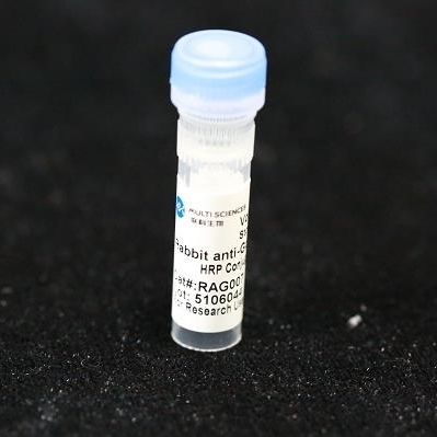 モノクローナル抗体試薬 - BAB1716 - MULTI SCIENCES(LIANKE) BIOTECH, CO.,LTD. - 防腐剤 / 研究用 / プロテイン