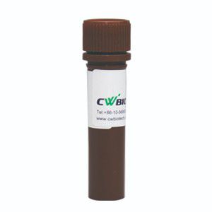 添加液試薬 - SuperStain - Jiangsu CoWin Biotech Co.,Ltd - 染料 / 微生物学用