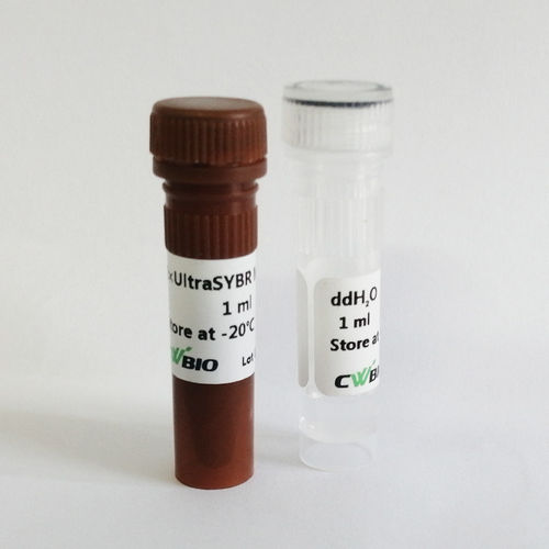 酵素試薬 - UltraSYBR Mixture - Jiangsu CoWin Biotech Co.,Ltd - DNAポリメラーゼ / TaqDNAポリメラーゼ / 染料