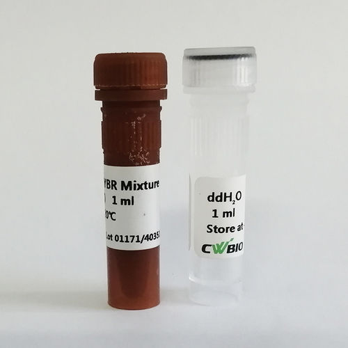 DNAポリメラーゼ試薬 - UltraSYBR Mixture - Jiangsu CoWin Biotech Co.,Ltd - TaqDNAポリメラーゼ / 緩衝液 / 染料