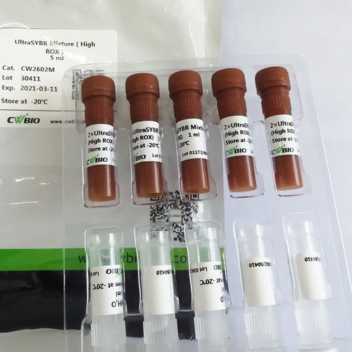 酵素試薬 - UltraSYBR Mixture - Jiangsu CoWin Biotech Co.,Ltd - DNAポリメラーゼ / TaqDNAポリメラーゼ / 染料