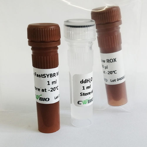 酵素試薬 - FastSYBR Mixture - Jiangsu CoWin Biotech Co.,Ltd - DNAポリメラーゼ / TaqDNAポリメラーゼ / リアルタイムqPCR