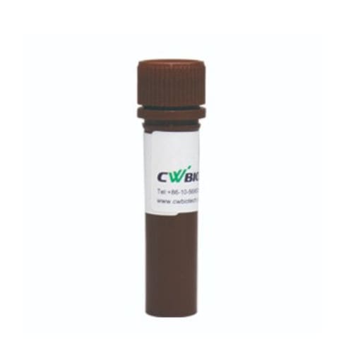 酵素試薬 - FastSYBR - Jiangsu CoWin Biotech Co.,Ltd - TaqDNAポリメラーゼ / リアルタイムqPCR / ホットスタート