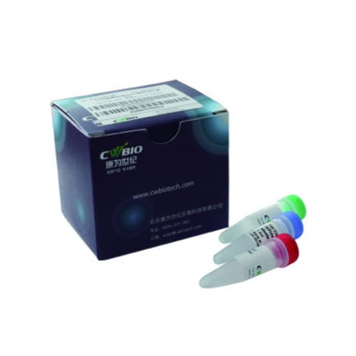 酵素試薬キット - Jiangsu CoWin Biotech Co.,Ltd - DNAポリメラーゼ / NGS / DNA シークエンシング用