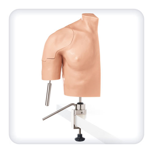 関節鏡検査シミュレーター - M1128 - SATC solution - 手術用 / 解剖学 / 肩の