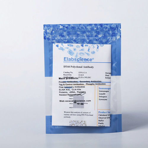 溶液試薬 - E-AB-V1002 - Elabscience Biotechnology Inc. - モノクローナル抗体 / アポトーシス / ウェスタンブロット法用