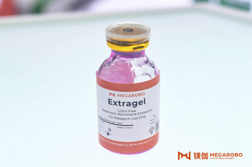 細胞外マトリックス試薬 -  OM-1-ph - MEGAROBO TECHNOLOGIES CO., LTD. - サイトカイン / 試薬媒体 / 溶液