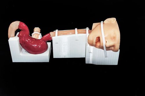 医療訓練用シミュレーター - XH-02 - Trando 3D Medical Technology - 胃カメラ / 手術用