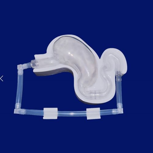 【最終値下】赤子再生解剖オブジェ type c 胃の解剖模型 - JP001 - Trando 3D Medical Technology - 実習用 / 透明