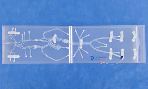 神経外科血管模型 - SJ001D-01 - Trando 3D Medical Technology - 血管の / 低侵襲手術 / 医療訓練用