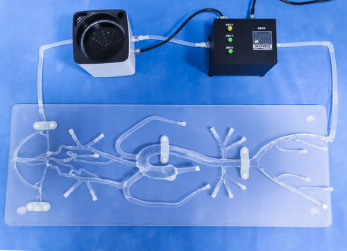 血管の血管模型 - SJ001D-04 - Trando 3D Medical Technology - 低侵襲手術 / 神経外科 / 医療訓練用