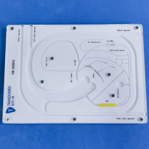 冠動脈の血管模型 - PCI-21 - Trando 3D Medical Technology - 低侵襲手術 / 医療訓練用 / 血管アクセス用